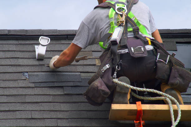 Best Metal Roofing Contractor  in Osceola, IN
