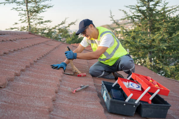 Best Roof Maintenance Services  in Osceola, IN